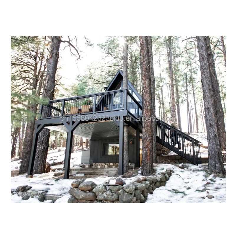 20ft or 40ft Container Modern Design EU Triangle Shape Steel Structure ...