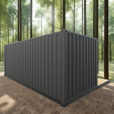 Log 20ft Eco-Friendly Flat Pack Container House Prefabricated Sustainable Construction Steel Structure Resilient Rain Wind Snow Shop