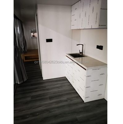 Customized Color Modern Container Mini Vacation Capsule Room One Bedroom Steel Structure Hotel Designed with Modern Style