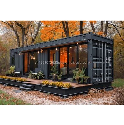 Galvanized Steel Square Tubes Main Structure for Modern Tiny House on Wheels Portable Prefab Container House Design