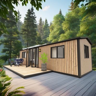 Customized Color Wooden Homes for Family Made of Steel Sandwich Panel and Galvanized Steel Square Tubes
