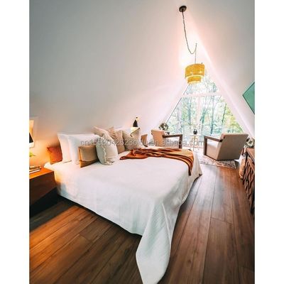 Steel Structure Triangular Wooden House