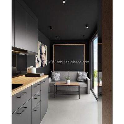 Modern Design 20ft/40ft Luxury Fabricated House Prefab Shipping Container Home Houses EU Portable 20ft Expandable House