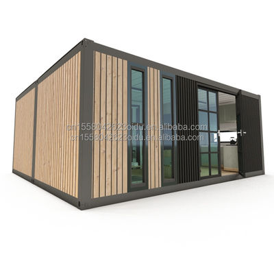 Customizable Detachable Mobile House EU Two Bedrooms Two 20ft Prefabricated Container House for Personalized Living