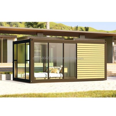 Customized Color Modern Luxury Tiny 20ft 40ft Prefab Wooden House Mobile Light Steel Container Prefabricated Home Apartment for Outdoor