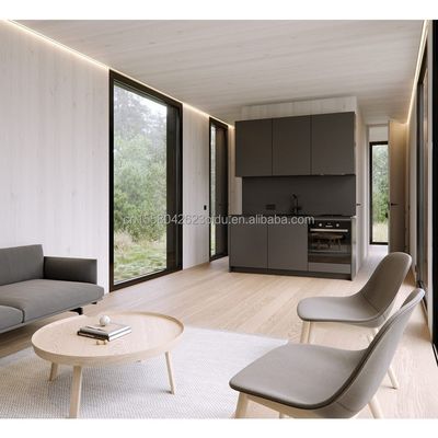 EU Modern 20ft Quick Assembly Wooden Houses Container Hotel Shop for Office in Customized Color