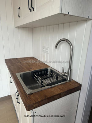 20-40ft Expandable Steel Container House for Canada Australia Customized Color Kitchen Bathroom Home Bedroom Application