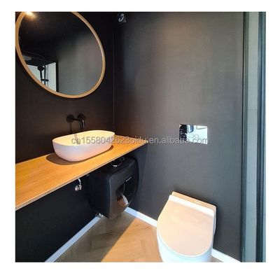 20ft Sturdy Container Homes with 50/75/100mm Wave Sandwich Panel Wall and Modern Design Prefab Shipping Tiny House