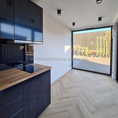 20ft Sturdy Container Homes with 50/75/100mm Wave Sandwich Panel Wall and Modern Design Prefab Shipping Tiny House