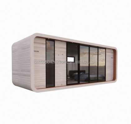 Modified Shipping Container 20ft Luxury Prefab Wooden House with Kitchen Bathroom and Container Room Quick Installation